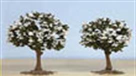 Expo's range of miniature trees!