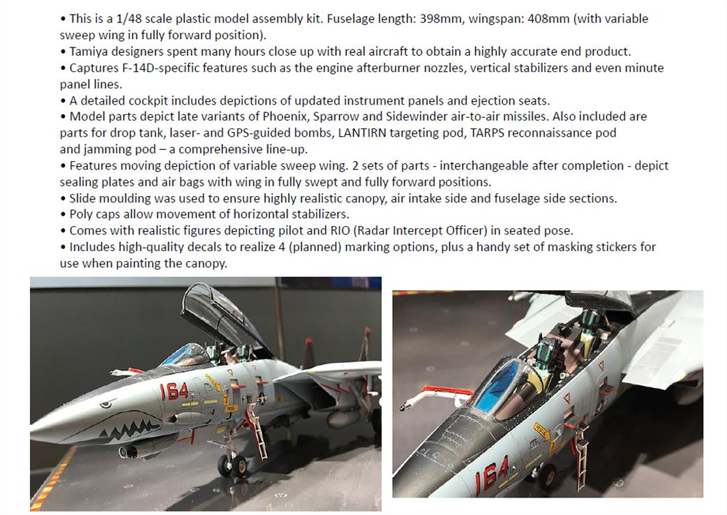 F14 tomcat more info 1