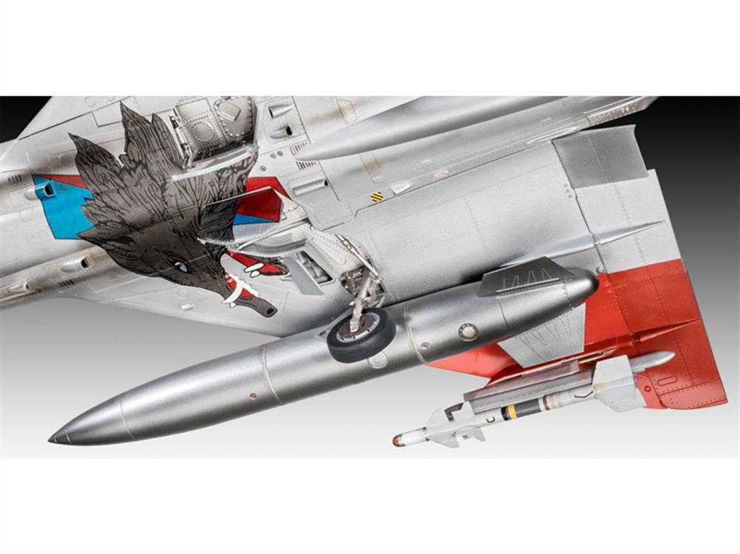 03919 Underneath Wing
