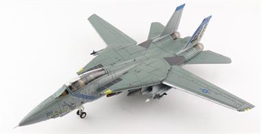 "Grumman F-14B Tomcat ""OEF"" 163220, VF-143 ""Pukin Dogs"", 2002"