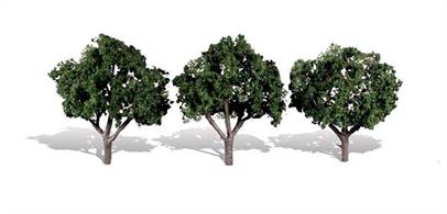 Pack of&nbsp;3&nbsp;trees with dark&nbsp;foliage. Height range 3 to 4 in.Typical scale heightO scale&nbsp;12 - 16 feetOO scale 19 - 25 feetN scale 36 - 48 feet
