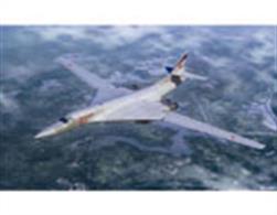 Scale 1:144, Length: 375.76 mm Wingspan: 386.8mm,