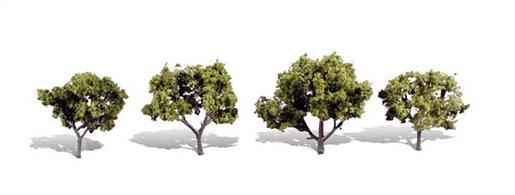 Pack of 4 trees with light coloured foliage. Height range 2 to 3 in.Typical scale heightO scale 8 - 12 feetOO scale 12.5 - 19 feetN scale 24 - 36 feet