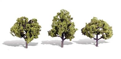 Pack of&nbsp;3&nbsp;trees with light coloured foliage. Height range&nbsp;4 to&nbsp;5 in.Typical scale heightO scale&nbsp;16 - 20 feetOO scale&nbsp;25 - 31.5 feetN scale 48 - 60 feet