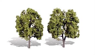 Pack of&nbsp;2&nbsp;trees with light coloured foliage. Height range&nbsp;5 to&nbsp;6in.Typical scale heightO scale&nbsp;20 - 24 feetOO scale&nbsp;31.5 - 38 feetN scale&nbsp;60 -&nbsp;72 feet
