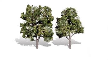 Pack of&nbsp;2&nbsp;trees. Height range&nbsp;5 to&nbsp;6in.Typical scale heightO scale&nbsp;20 - 24 feetOO scale&nbsp;31.5 - 38 feetN scale&nbsp;60 -&nbsp;72 feet
