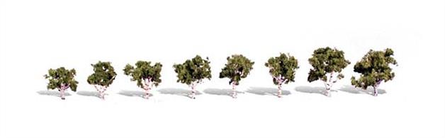 Pack of 8 large shrub / small trees. Height range 3/4 to 1 1/4 in.Typical scale heightO scale 2.5 - 4 feetOO scale 5 - 8 feetN scale 9 - 15 feet