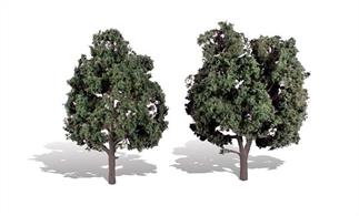 Pack of&nbsp;2&nbsp;trees with dark coloured foliage. Height range&nbsp;5 to&nbsp;6in.Typical scale heightO scale&nbsp;20 - 24 feetOO scale&nbsp;31.5 - 38 feetN scale&nbsp;60 -&nbsp;72 feet