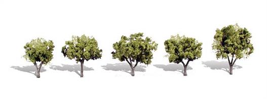 Pack of&nbsp;5&nbsp;small trees with light toned foliage. Height range 1 1/4 to 2in.Typical scale heightO scale 5 to 8 feetOO scale&nbsp;8 - 12.5 feetN scale 15 - 24 feet