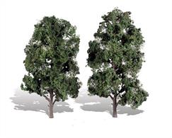Pack of 2 trees with dark foliage. Height range 8 to 9in.Typical scale heightO scale 32 - 36 feetOO scale 50 - 57 feetN scale 96 - 108 feet