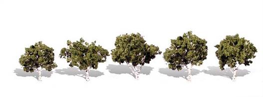 Pack of&nbsp;5&nbsp;small trees. Height range 1 1/4 to 2in.Typical scale heightO scale 5 to 8 feetOO scale&nbsp;8 - 12.5 feetN scale 15 - 24 feet