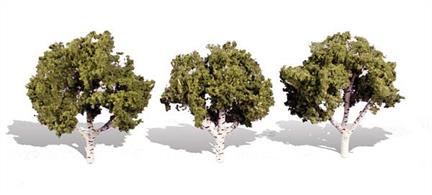 Pack of&nbsp;3&nbsp;trees. Height range&nbsp;3 to&nbsp;4 in.Typical scale heightO scale 12 - 16 feetOO scale 19 - 25 feetN scale&nbsp;36 - 48 feet