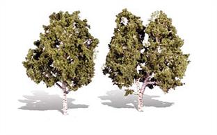 Pack of&nbsp;2&nbsp;trees. Height range&nbsp;5 to&nbsp;6in.Typical scale heightO scale&nbsp;20 - 24 feetOO scale&nbsp;31.5 - 38 feetN scale&nbsp;60 -&nbsp;72 feet