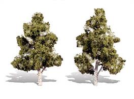 Pack of&nbsp;2&nbsp;trees. Height range&nbsp;7 to 8in.Typical scale heightO scale&nbsp;28 - 32 feetOO scale&nbsp;44 -&nbsp;50.5 feetN scale&nbsp;84 -&nbsp;96 feetScale approx 35ft. in N, 18ft in OO