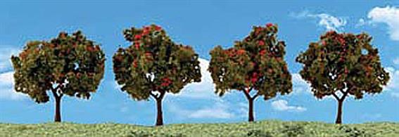 Pack of&nbsp;4&nbsp;apple trees. Height range 2 to 3 in.Typical scale heightO scale 8 - 12 feetOO scale 12.5 - 19 feetN scale 24 - 36 feet