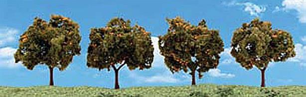Pack of&nbsp;4&nbsp;orange trees. Height range 2 to 3 in.Typical scale heightO scale 8 - 12 feetOO scale 12.5 - 19 feetN scale 24 - 36 feet