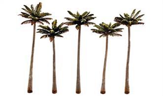Pack of&nbsp;5 palm&nbsp;trees. Height range 4 3/4 to 5 1/4in.Typical scale heightO scale&nbsp;19 - 21 feetOO scale 30 - 34 feetN scale 57 - 63 feet