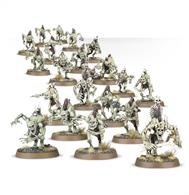 This multi-part plastic kit contains 20 Crypt Ghouls, and can be used to assemble a Crypt Ghast Courtier – warscrolls for each are in the box. Supplied with 20 Citadel 25mm Round bases. Models are supplied unpainted and requires assembly.
