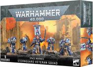 This box contains a 5 man Sternguard Veteran Squad.  These multi-part plastic miniatures can be assembled in a variety of ways.  Models are supplied unpainted and requires assembly.