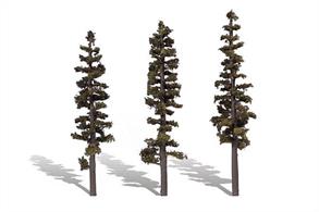 Pack of&nbsp;3 pine trees, height range 7 to 8 inches.Typical scale heightO scale 28 -&nbsp;32 feetOO scale&nbsp;44&nbsp;- 50 1/2 feetN scale 84 - 96 feet