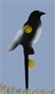 A robust metal pigeon outline target with a drop-down yellow target plate in the centre.The target size can be reduced using a cover plate attached to the rear of the pigeon with a smaller target aperture.A second target plate below the pigeon reset the central target when hit.Not suitable for use with 6mm plastic pellets, only to be used with metal pellets