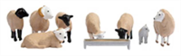 Bachmann OO Sheep Pack 36-083Bachmann Branchline OO Scenecraft 36-083 Sheep Pack of seven ready painted sheep toether with one lamb and a feeding trough.