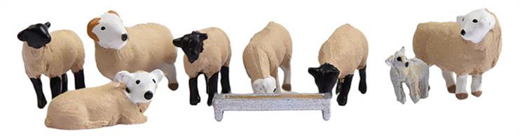 Graham Farish N Scale 379-343 Sheep.Pack of seven sheep together with one lamb and a feeding trough.