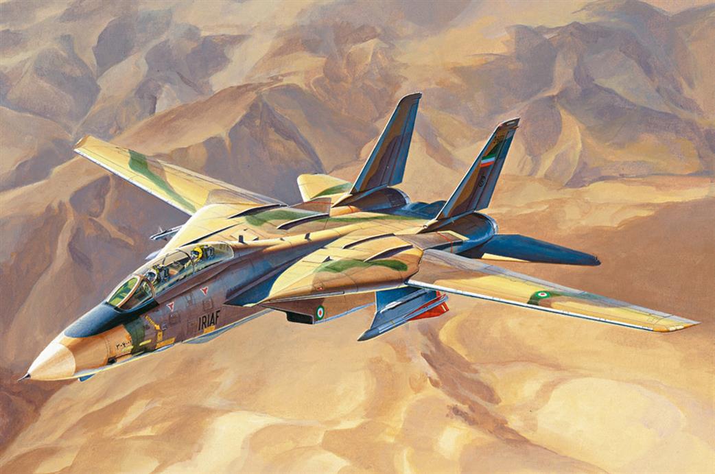 Hobbyboss 81771 F14A Tomcat IRIAF Persian Cat Fighter Bomber Plastic Kit 1/48