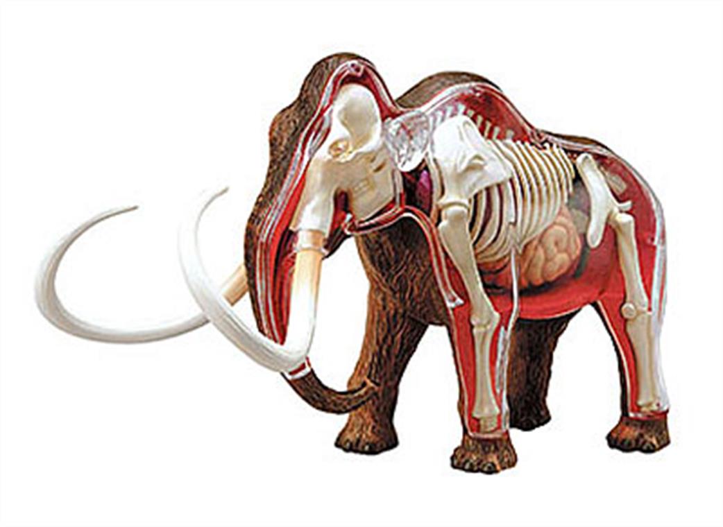 Revell  02092 X Ray Mammoth Anatomy Model Kit