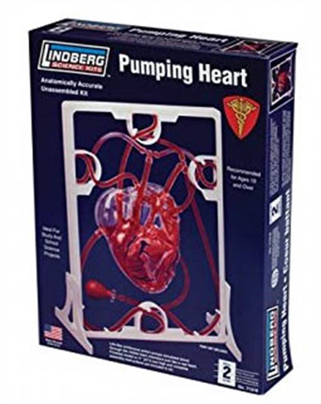 Lindberg  71316 Pumping Heart