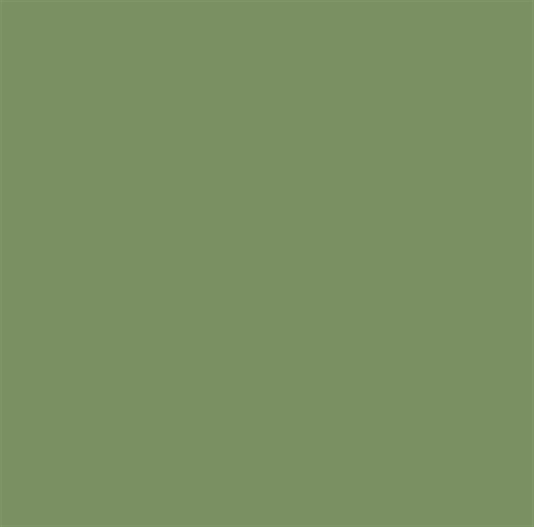 Mission Model Paints  MMP-079 RAF Interior Green Acrylic Paint 30ml