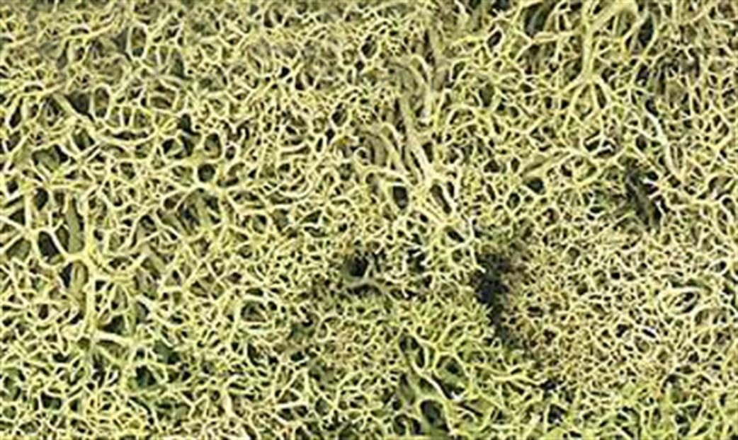 Woodland Scenics  L161 Spring Green Lichen