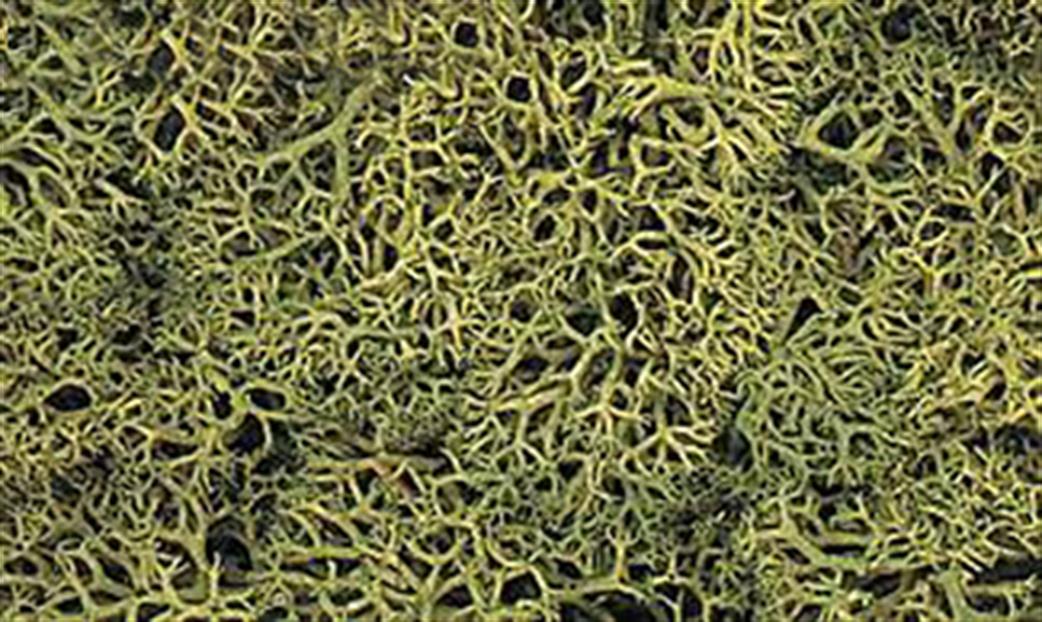 Woodland Scenics  L163 Medium Green Lichen