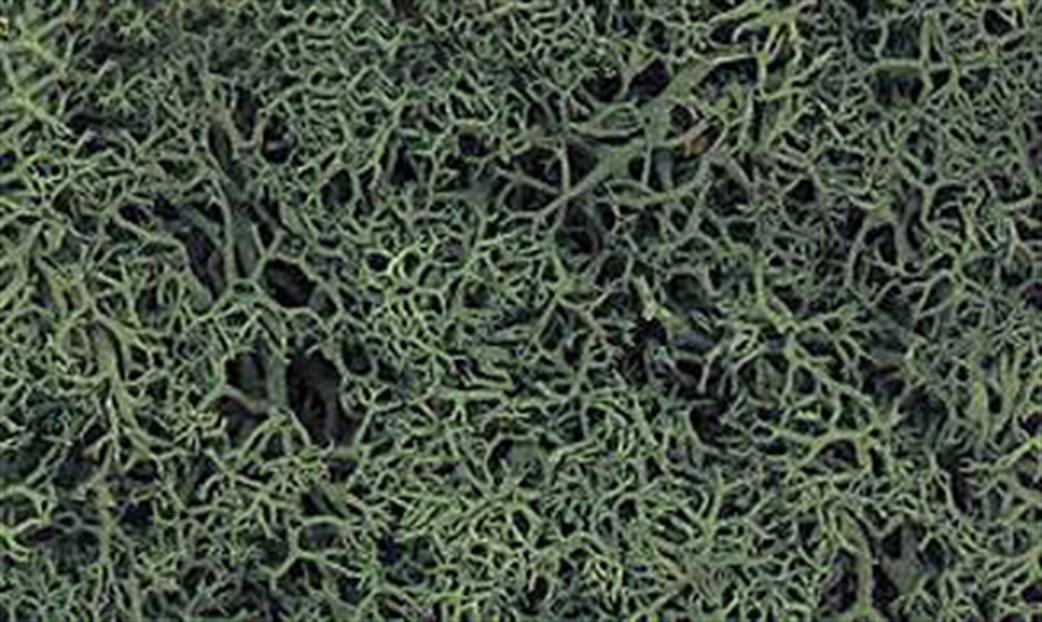 Woodland Scenics  L164 Dark Green Lichen 1.5 qt