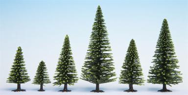 Pack of 25 spruce trees between 5 and 14cm height.