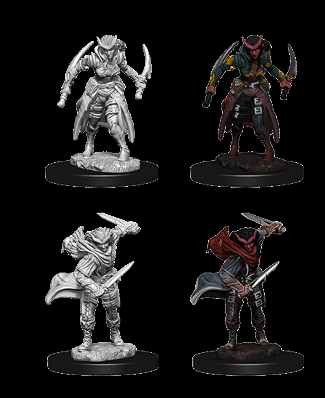 Wizkids  73339 Tiefling Female Rogue: D&D Nolzur's Marvelous Unpainted Miniatures