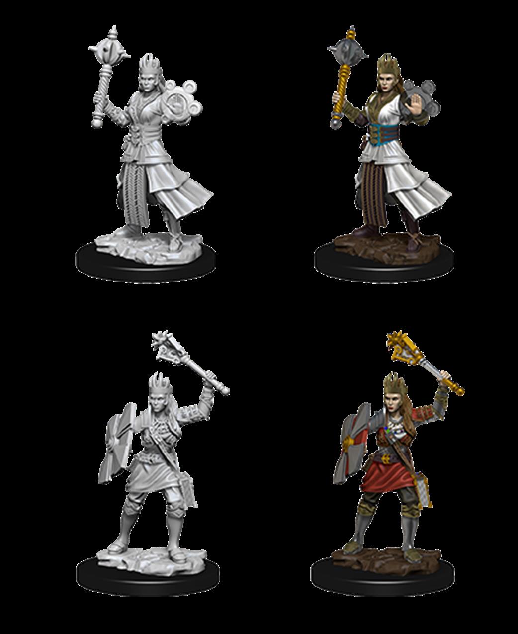 Wizkids  73671 Female Human Cleric: D&D Nolzur's Marvelous Unpainted Miniatures