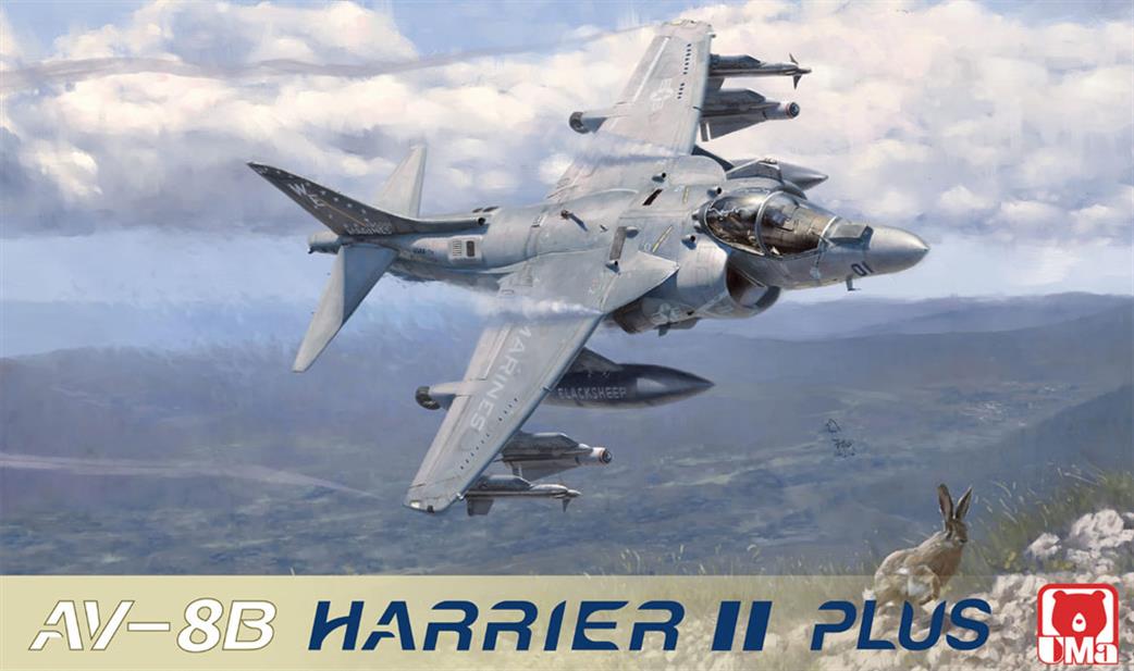 UMA Models 1/48 D1001 Harrier II AV8B Plus USMC VTOL Aircraft Kit