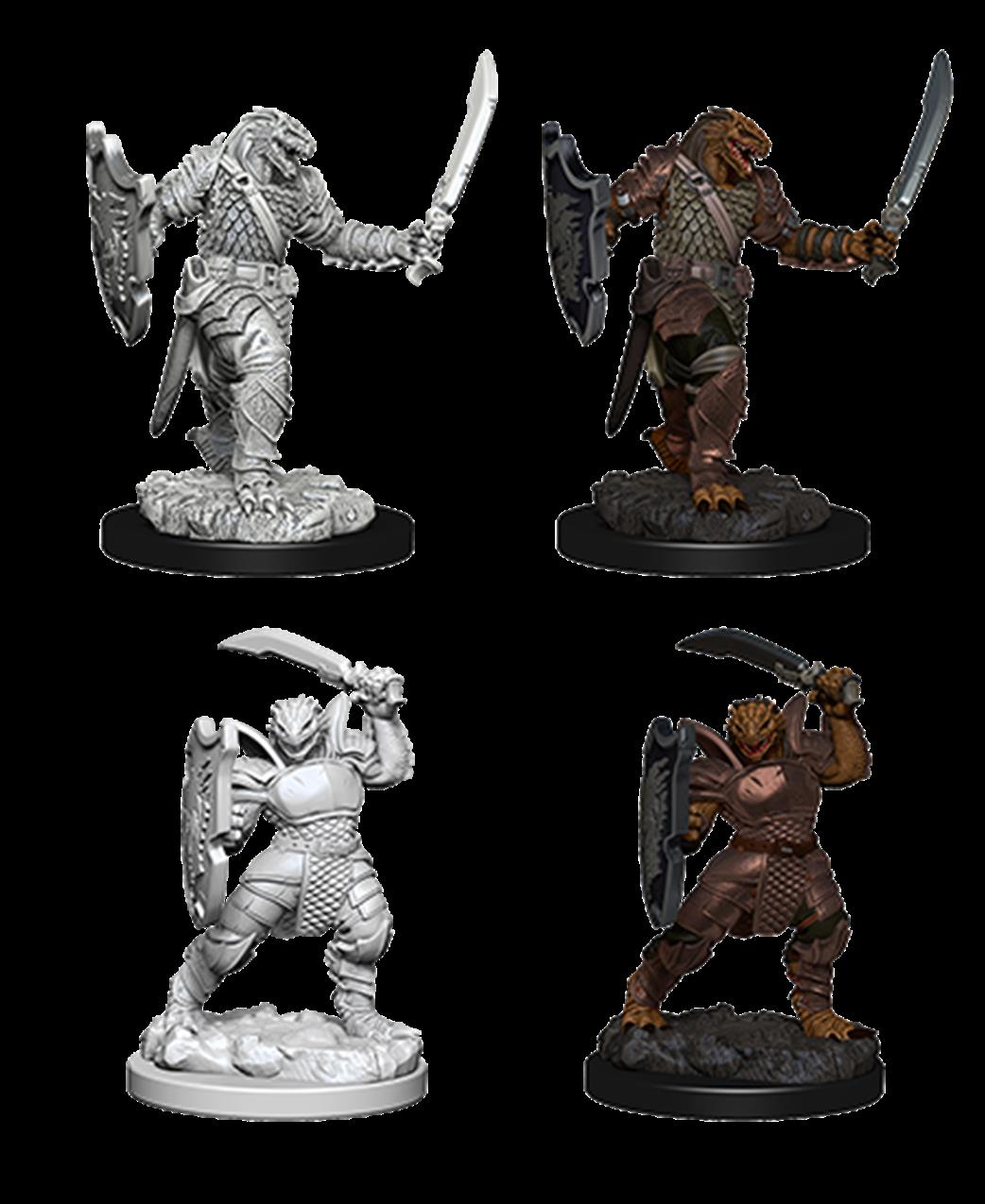Wizkids  73341 Dragonborn Female Paladin: D&D Nolzur's Marvelous Unpainted Miniatures