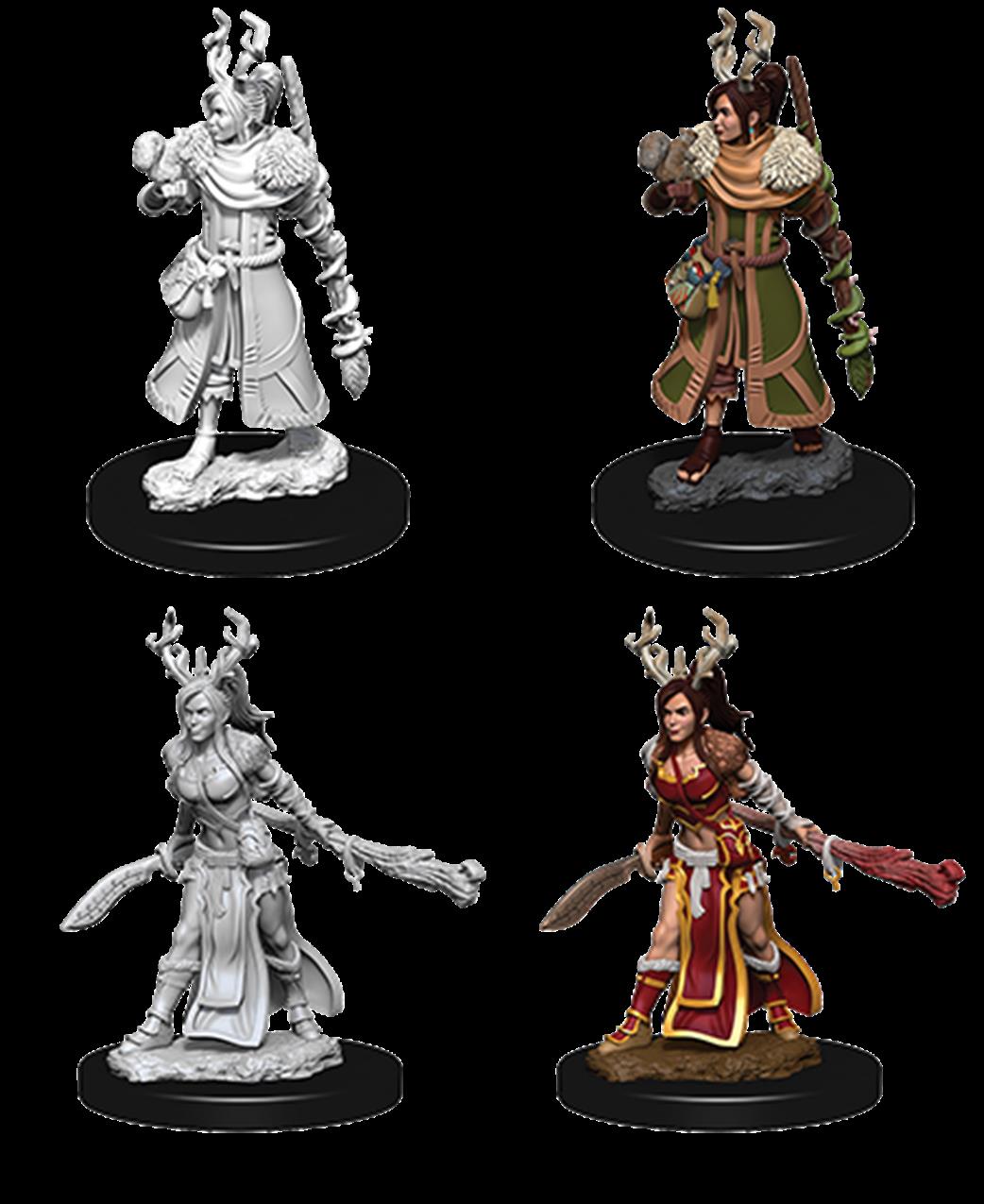 Wizkids  73701 Female Human Druid: D&D Nolzur's Marvelous Unpainted Miniatures