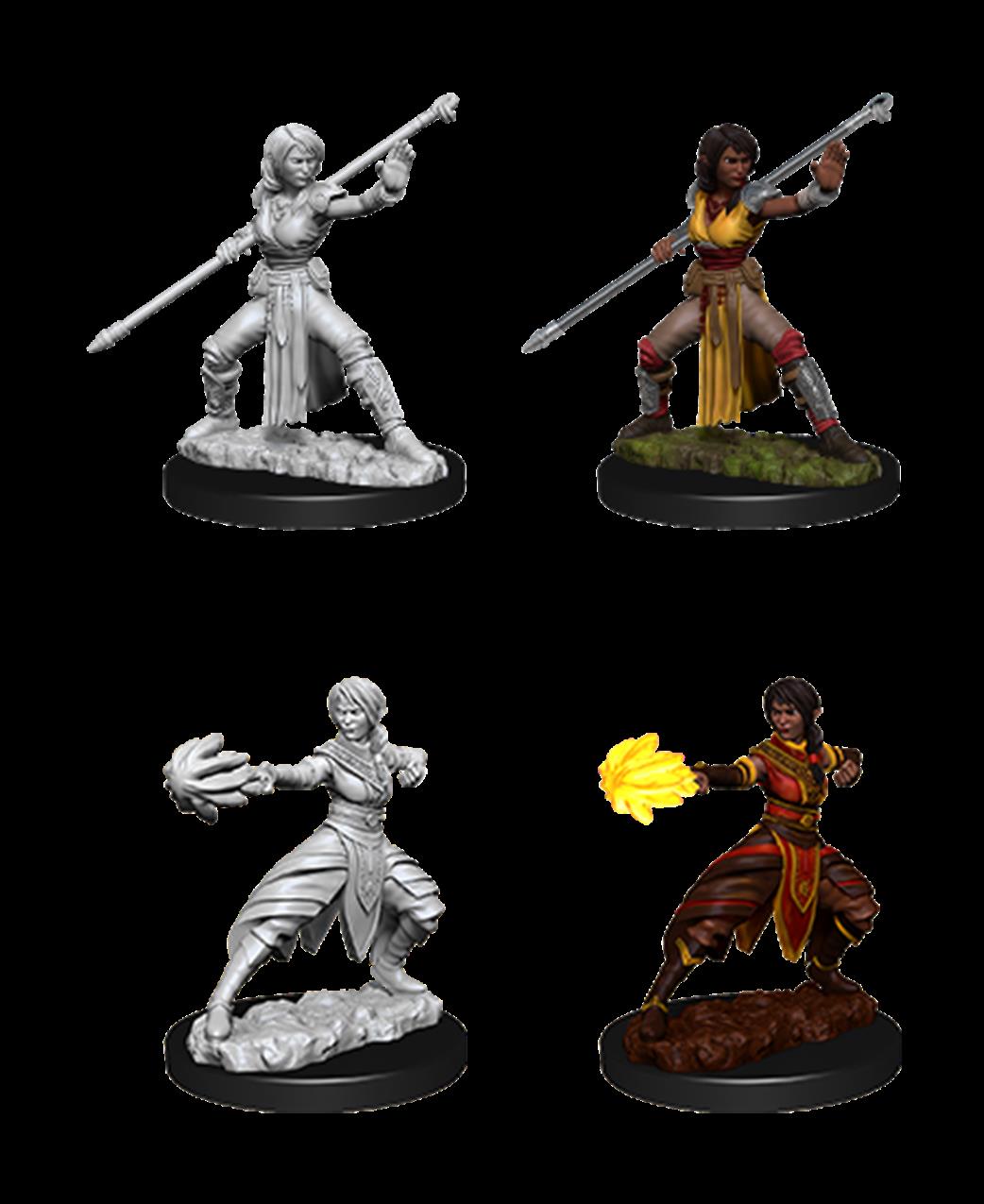 Wizkids  73839 Female Half-Elf Monk: D&D Nolzur's Marvelous Unpainted Miniatures