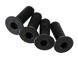 CSK screw for 6s cars