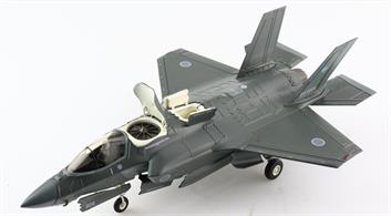 "F-35B Lightning II (pseudo scheme) 49-8751, ADTW, JASDF, Gifu Air Base"