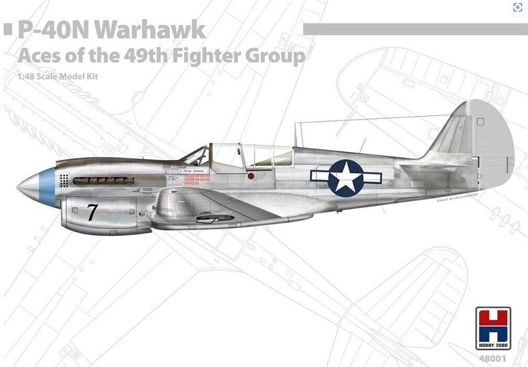 Hobby 2000 1/48 48001 P-40N Warhawk Aces of The 49th FG