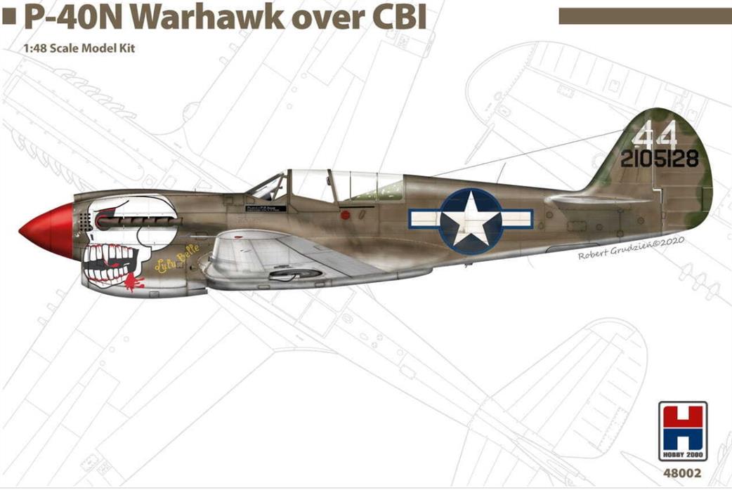 Hobby 2000 48002 P-40N Warhawk over CBI 1/48