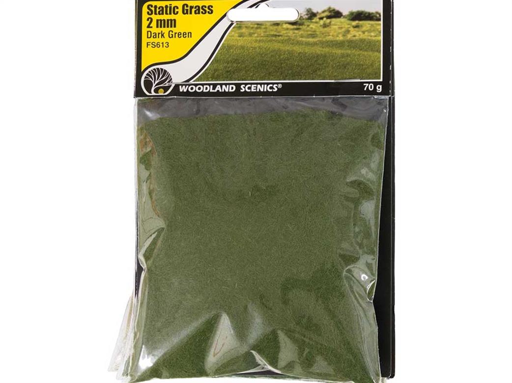 Woodland Scenics  FS613 2mm Dark Green Static Grass 70g