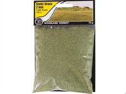 Static Grass Light Green 2mm.Static Grass is a special material that stands upright when it is appliedUse Static Grass to model fields and other tall grasses. Blend multiple lengths and colors of Static Grass to replicate all phases of growth.