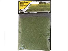 Static Grass Medium Green 4mm.Static Grass is a special material that stands upright when it is appliedUse Static Grass to model fields and other tall grasses. Blend multiple lengths and colors of Static Grass to replicate all phases of growth.