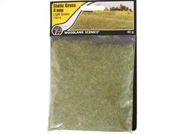 Static Grass Light Green 4mm.Static Grass is a special material that stands upright when it is appliedUse Static Grass to model fields and other tall grasses. Blend multiple lengths and colors of Static Grass to replicate all phases of growth.