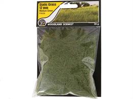 Static Grass Medium Green 12mm.Static Grass is a special material that stands upright when it is appliedUse Static Grass to model fields and other tall grasses. Blend multiple lengths and colors of Static Grass to replicate all phases of growth.